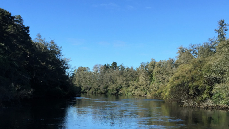 Join the friendly team at Waikato River Explorer onboard the floating cafe cruise with the best view in town along the mighty Waikato River!